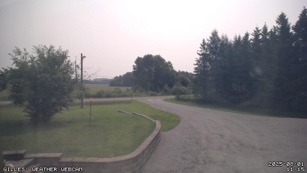 Netcam facing South-East